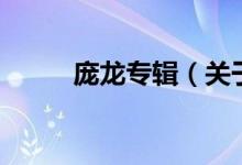 庞龙专辑（关于庞龙专辑的介绍）