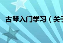 古琴入门学习（关于古琴入门学习的介绍）
