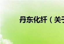 丹东化纤（关于丹东化纤的介绍）