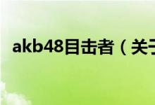 akb48目击者（关于akb48目击者的介绍）