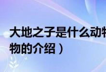 大地之子是什么动物（关于大地之子是什么动物的介绍）