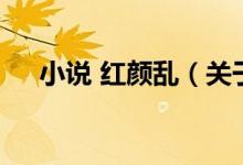 小说 红颜乱（关于小说 红颜乱的介绍）