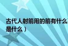 古代人射箭用的箭有什么不同（古代弓箭和现代弓箭的差别是什么）