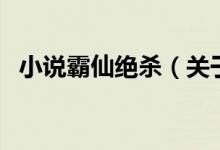 小说霸仙绝杀（关于小说霸仙绝杀的介绍）