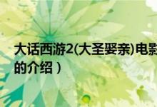 大话西游2(大圣娶亲)电影（关于大话西游2(大圣娶亲)电影的介绍）