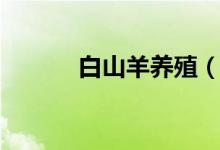 白山羊养殖（大家可以看一看）