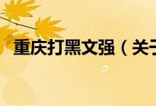 重庆打黑文强（关于重庆打黑文强的介绍）