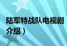 陆军特战队电视剧（关于陆军特战队电视剧的介绍）