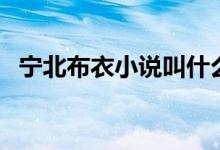 宁北布衣小说叫什么（宁北布衣小说简介）