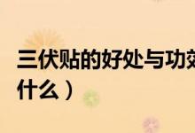 三伏贴的好处与功效（三伏贴的好处和功效是什么）