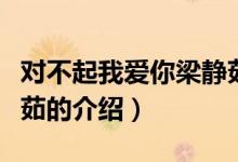 对不起我爱你梁静茹（关于对不起我爱你梁静茹的介绍）