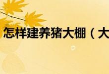 怎样建养猪大棚（大棚式猪舍建造方法简介）