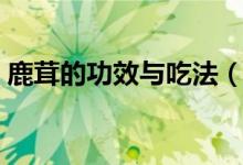 鹿茸的功效与吃法（关于鹿茸的功效与吃法）