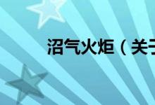 沼气火炬（关于沼气火炬的介绍）