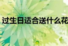 过生日适合送什么花（生日适合送的花介绍）