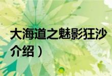大海道之魅影狂沙（关于大海道之魅影狂沙的介绍）