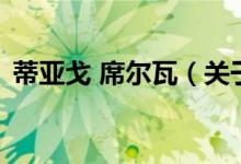 蒂亚戈 席尔瓦（关于蒂亚戈 席尔瓦的介绍）