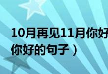 10月再见11月你好语录（关于10月再见11月你好的句子）