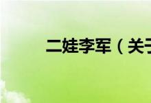 二娃李军（关于二娃李军的介绍）