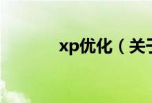 xp优化（关于xp优化的介绍）