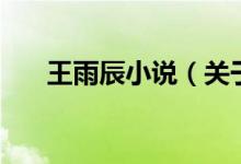 王雨辰小说（关于王雨辰小说的介绍）