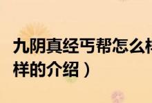 九阴真经丐帮怎么样（关于九阴真经丐帮怎么样的介绍）