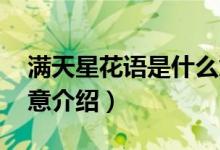 满天星花语是什么意思（寓意 满天星花语寓意介绍）