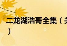 二龙湖浩哥全集（关于二龙湖浩哥全集的介绍）