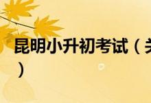 昆明小升初考试（关于昆明小升初考试的介绍）