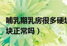 哺乳期乳房很多硬块正常吗（哺乳期乳房有硬块正常吗）