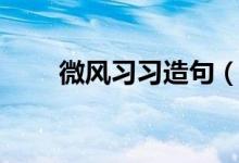 微风习习造句（利用微风习习造句）