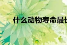 什么动物寿命最长（寿命最长的动物）