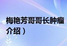 梅艳芳哥哥长肿瘤（关于梅艳芳哥哥长肿瘤的介绍）