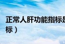 正常人肝功能指标是多少（正常人的肝功能指标）