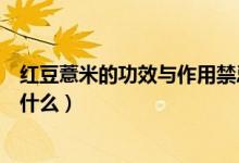 红豆薏米的功效与作用禁忌（红豆薏米的功效与作用禁忌是什么）