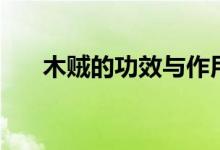 木贼的功效与作用（木贼的营养价值）