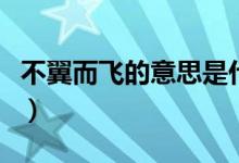 不翼而飞的意思是什么（不翼而飞的意思是啥）