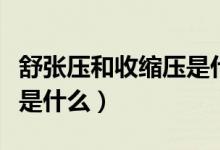舒张压和收缩压是什么意思（舒张压和收缩压是什么）