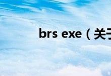 brs exe（关于brs exe的介绍）