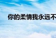 你的柔情我永远不懂歌词（完整版歌词）