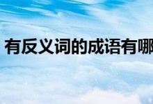 有反义词的成语有哪些（带有反义词的成语）