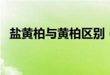 盐黄柏与黄柏区别（盐黄柏和黄柏的区别）