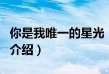 你是我唯一的星光（关于你是我唯一的星光的介绍）