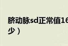 脐动脉sd正常值16周(脐动脉sd正常值是多少)