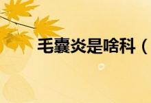 毛囊炎是啥科(毛囊炎是啥样症状)
