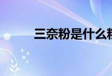 三奈粉是什么粉（三奈粉的介绍）