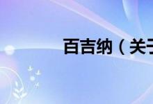 百吉纳（关于百吉纳的介绍）