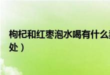枸杞和红枣泡水喝有什么禁忌(枸杞和红枣泡水喝有什么好处)