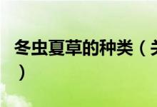 冬虫夏草的种类（关于冬虫夏草的种类的介绍）