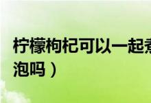 柠檬枸杞可以一起煮水吗(柠檬枸杞可以一起泡吗)